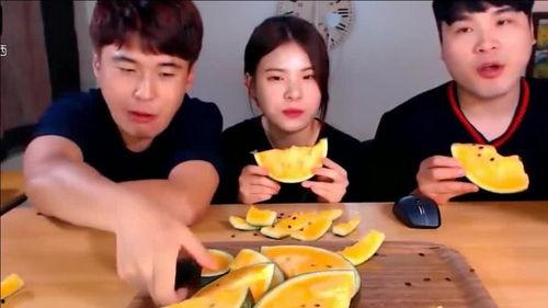 免费吃瓜网课兄妹,揭秘网络教育界的甜蜜互动 第3张 免费吃瓜网课兄妹,揭秘网络教育界的甜蜜互动 第3张